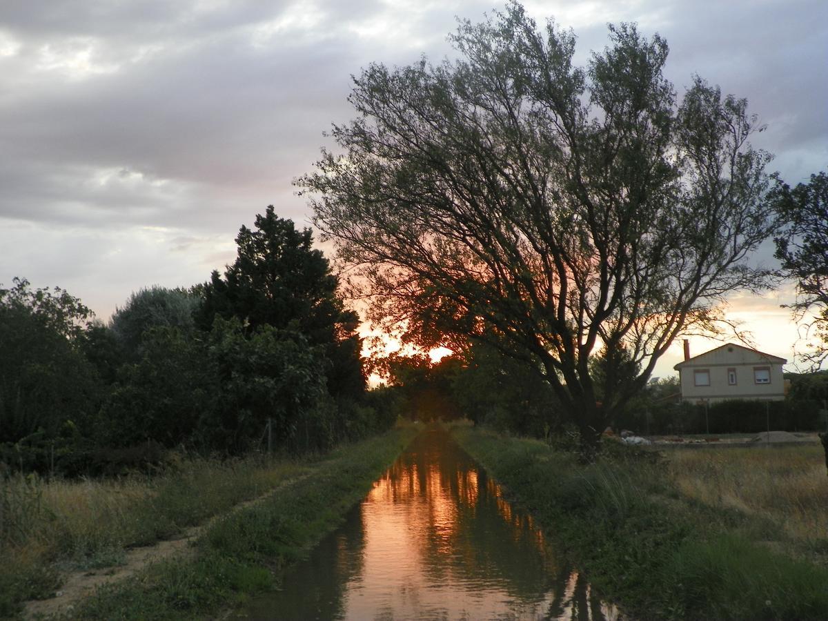 El Rincon De Los Abuelos Tudela de Duero 外观 照片